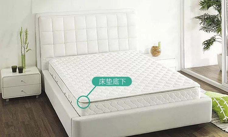 床上有螨虫身上痒用什么药来洗,身上痒可能床上有螨虫怎么解决啊