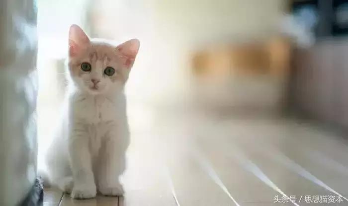 怎样学习股票入门k线图,新股民k线入门与技巧书