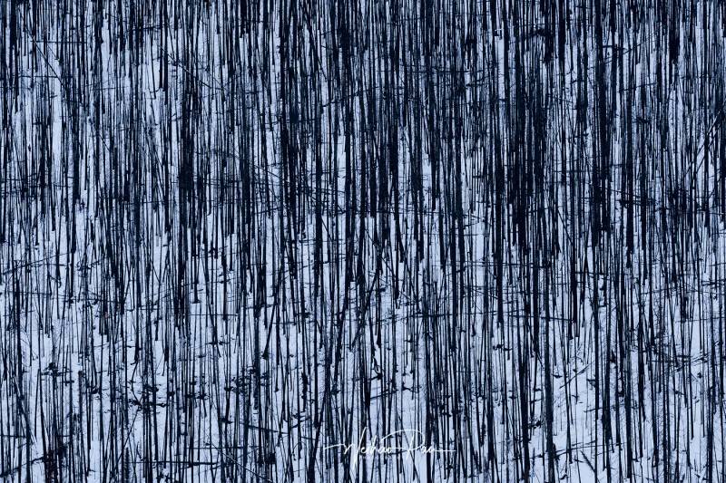 如何高情商说那些背后骂人的人,怎样对待背后乱说话的小人