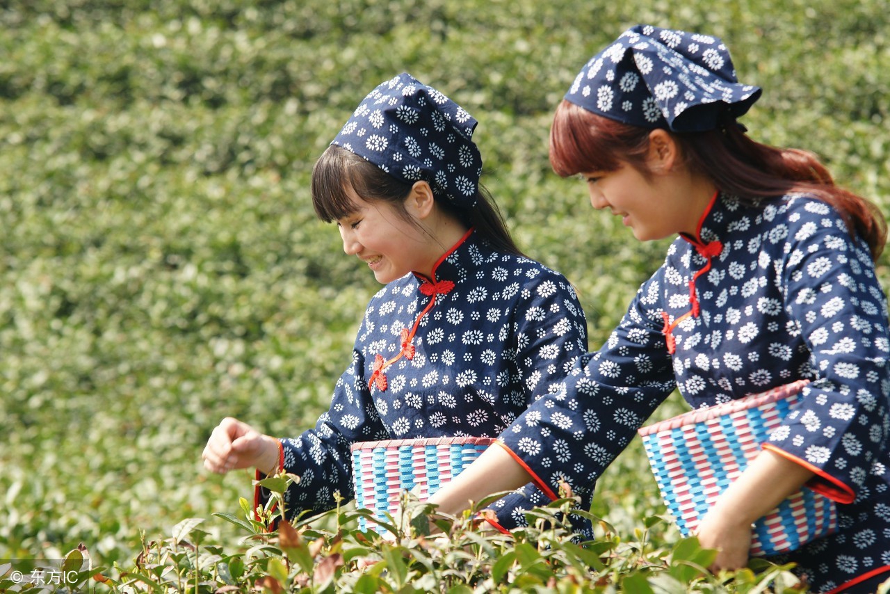 张家界旅行安排攻略,想去张家界旅游怎么开始旅行呢