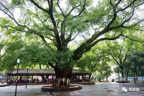 赣州哪个区发展最好,赣州哪个区发展得最好