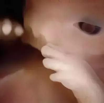 人类精子是怎么诞生的,人类进化史从精子到胎儿