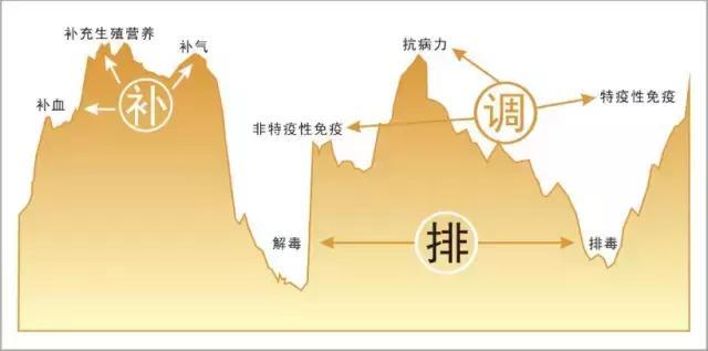 养殖母牛怎么赚钱,养牛要怎样才能致富