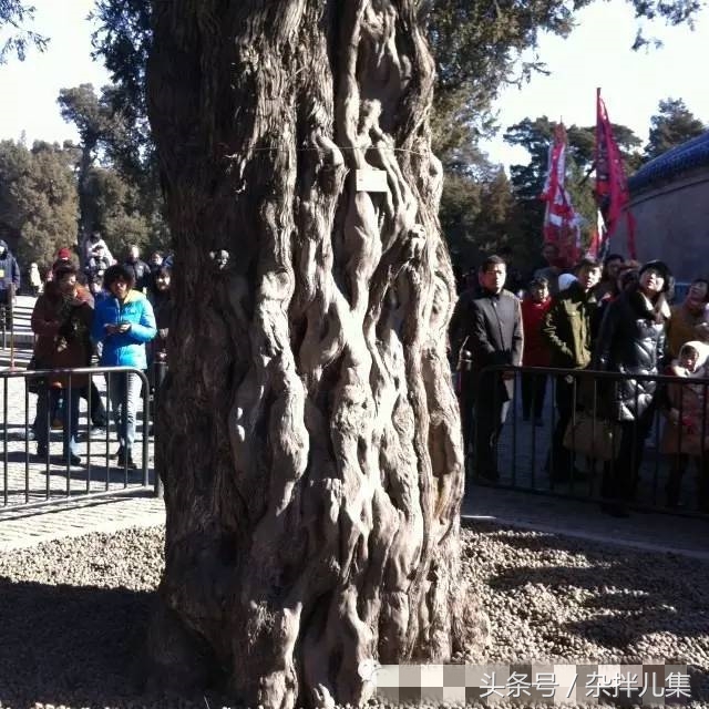 北京天坛到底隐藏着多少秘密?