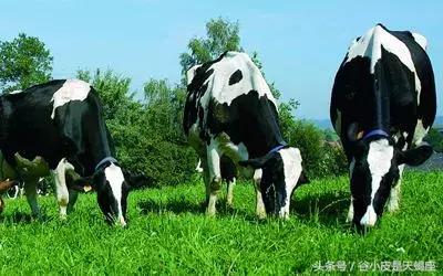 带奶粉过海关被扣,带8罐奶粉过海关