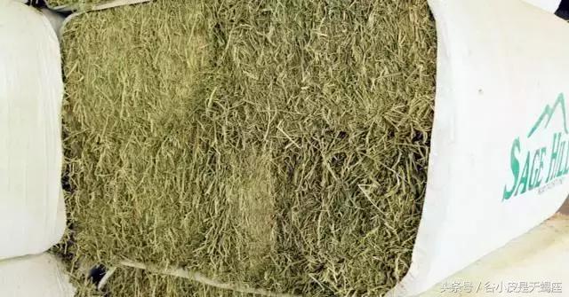 带奶粉过海关被扣,带8罐奶粉过海关