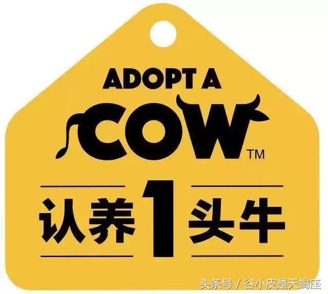 带奶粉过海关被扣,带8罐奶粉过海关