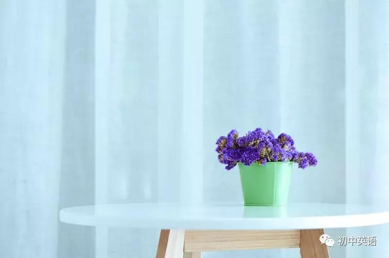 中考530个高频词,中考英语必背530个高频词