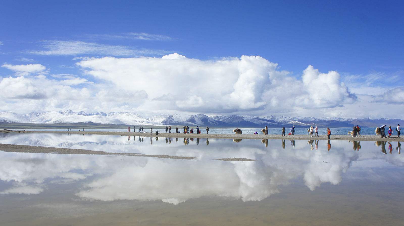 拉萨虔诚的信徒,拉萨虔诚的信徒朝拜圣地图片