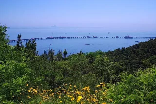 国庆去大连旅游攻略,国庆大连游玩攻略