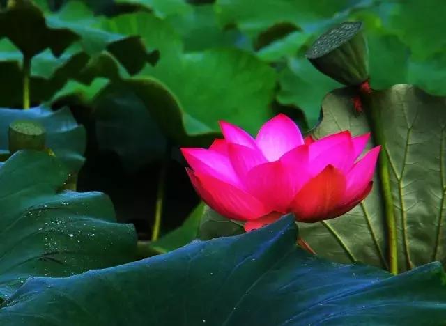 国庆去大连旅游攻略,国庆大连游玩攻略