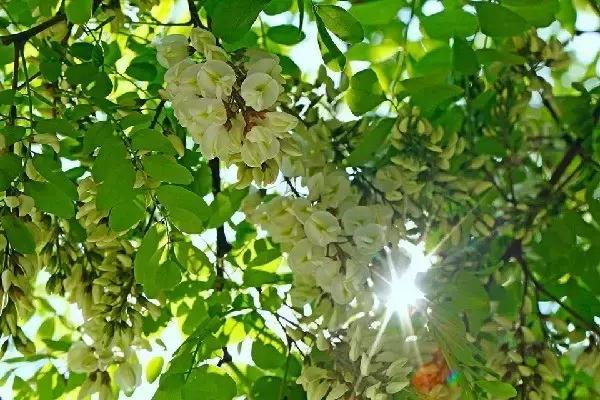 国庆去大连旅游攻略,国庆大连游玩攻略