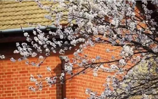 国庆去大连旅游攻略,国庆大连游玩攻略