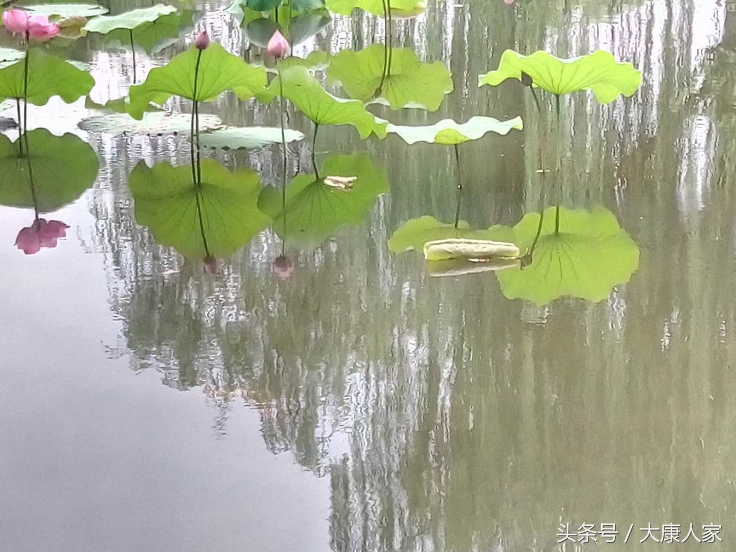 敲打二十年，键盘粘连一颗缠绵心！