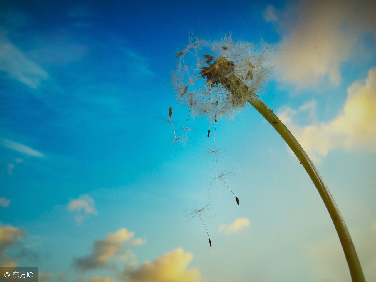 初中语文散文阅读理解,初中语文阅读思文