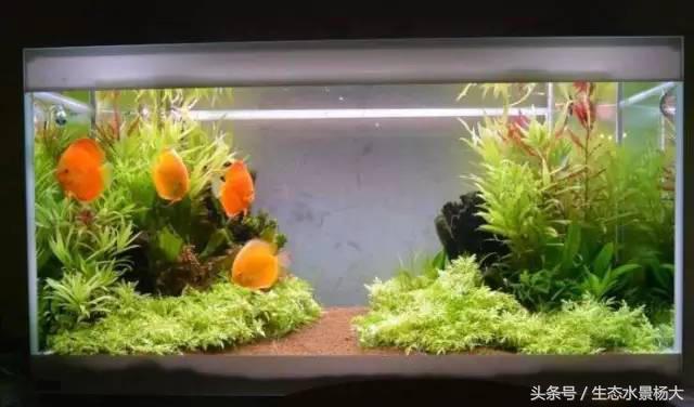 鱼缸加温有几种方法,鱼缸正确加温方法