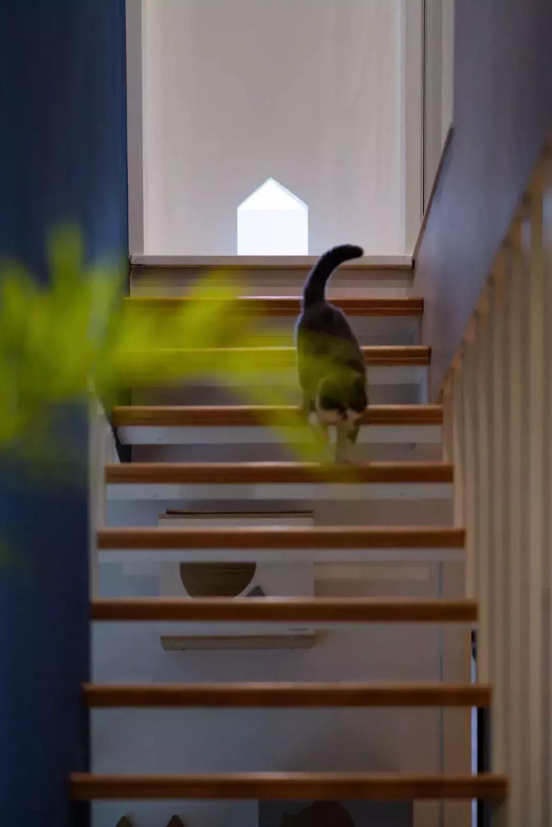 閾插睅瀹樺拰鐚挭鐨勫崸瀹よ璁″浘,閾插睅瀹樼粰鑷鐚挭璁捐鎴垮瓙