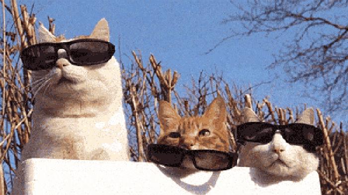 不想长皱纹？更不想变丑？这几个习惯你得留意！