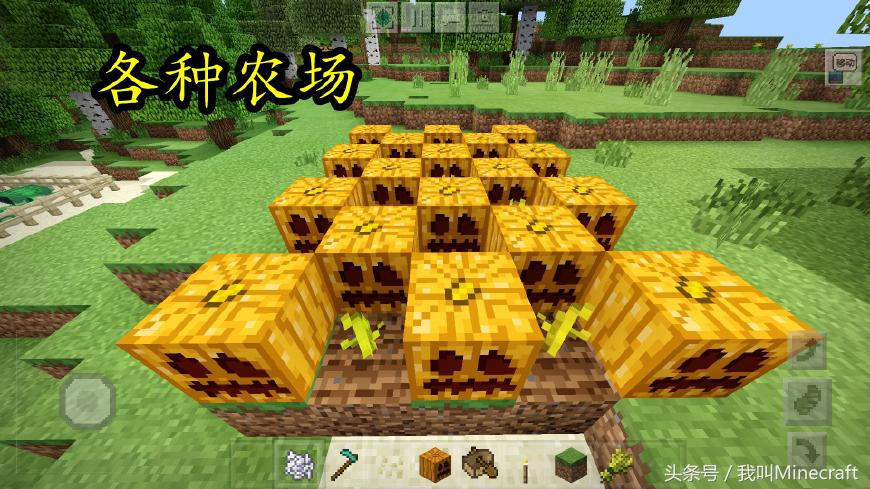 假如世界没有水资源,我的世界手机版空岛如何无限水