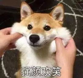 黄金周在哈尔滨逛“黄金大市”，百年信誉可不是随便敢说的｜国庆抄底价