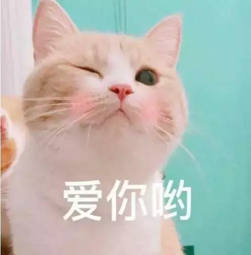 优衣库zara优惠时间,优衣库gaphmzara如何选择