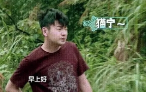 娱乐圈的一股清流雷佳音,前夫哥雷佳音不修边幅