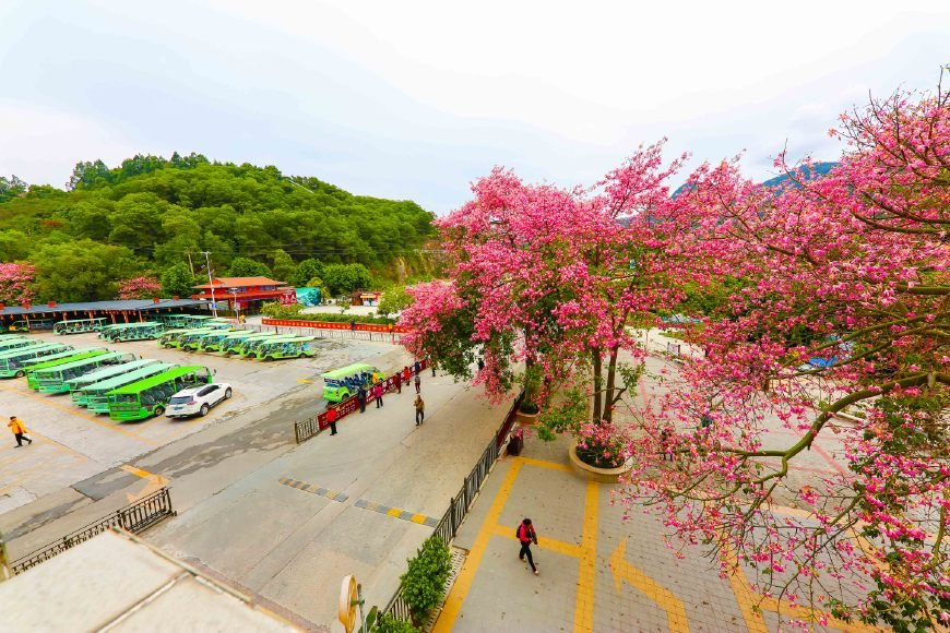 国庆节去东莞观音山,六月出游好去处东莞观音山玩法多