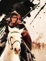 精忠岳飞讲述真实故事,精忠岳飞的传奇人生