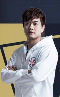 王者荣耀盘点主播各大战队,王者荣耀各大主播最新比赛