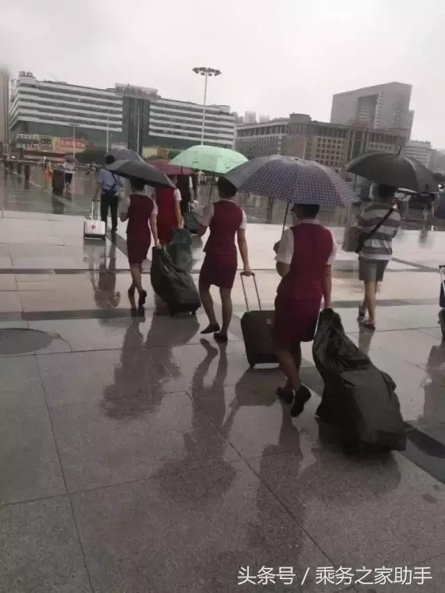 告诉你什么是“大家的动姐”-新时代高铁动车餐服员