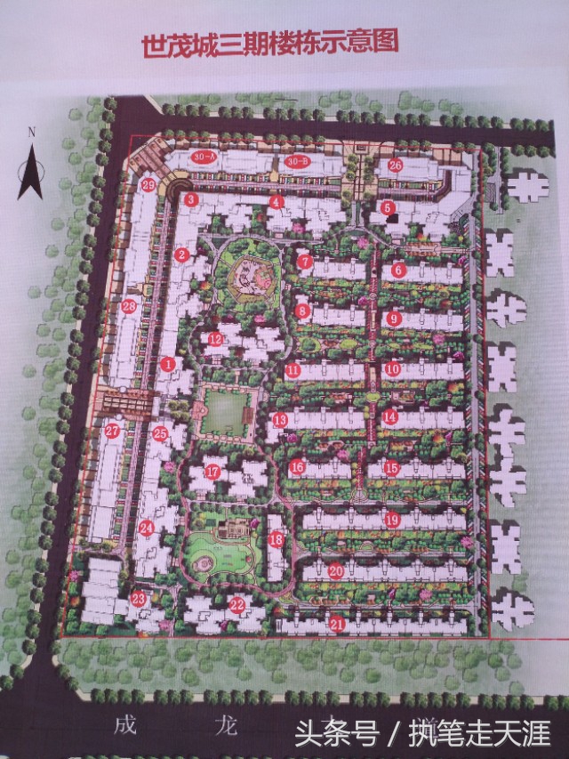 成都世茂城最好房评测,金九楼市大爆发