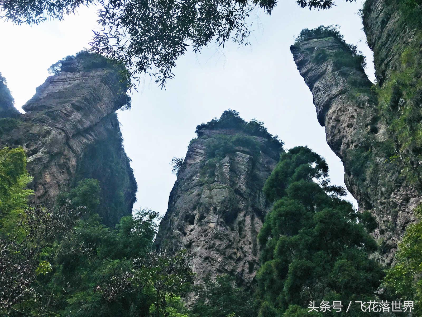 温州楠溪江一日游自驾游,永嘉楠溪江半日游攻略