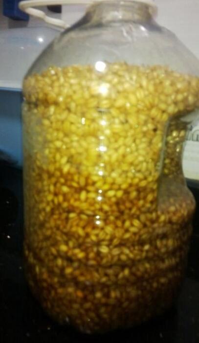 野钓串钩绑钩方法视频教程,取一根80厘米的主线如何绑串钩