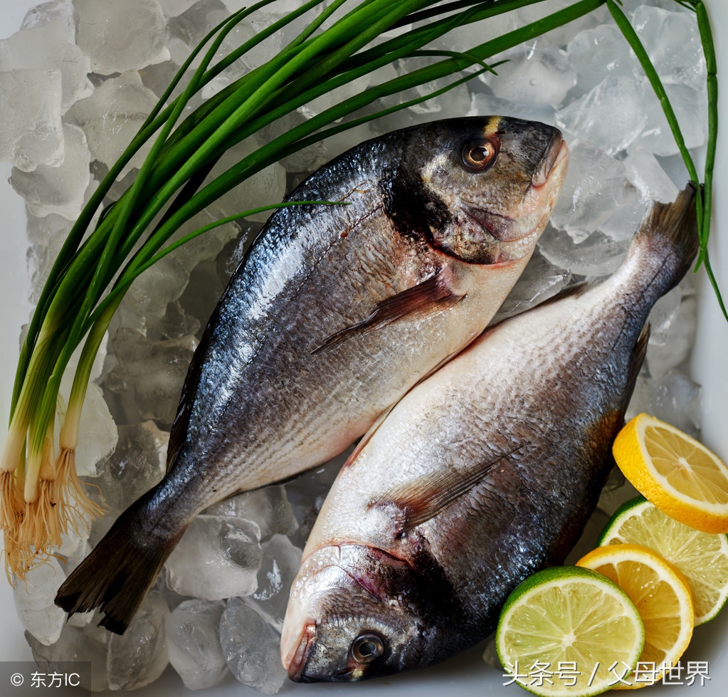 孕妇吃鱼对宝宝聪明,孕妈吃鱼要谨慎这3种鱼千万别吃