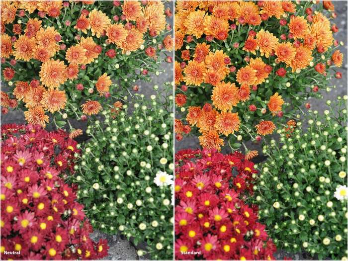 索尼a7rii拍人像,索尼a7r2全画幅微单