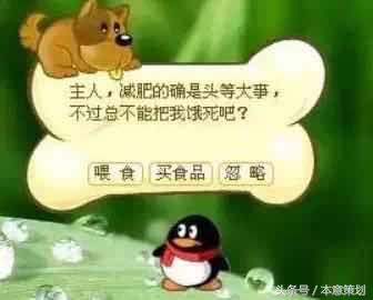 qq宠物为什么没有了,qq宠物再也不可能回来