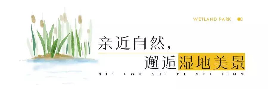 上海周边的湿地公园,上海湿地王国旅游