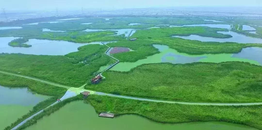 上海周边的湿地公园,上海湿地王国旅游