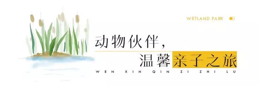 上海周边的湿地公园,上海湿地王国旅游