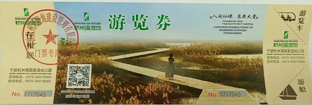 上海周边的湿地公园,上海湿地王国旅游