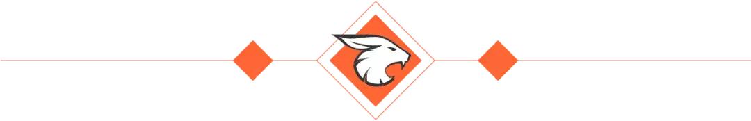 渗透的基本流程,渗透数据ppt