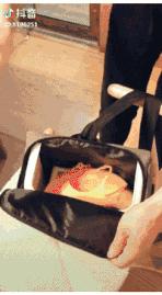 亲子带娃旅行必备10件神器,儿童旅行必须带的生活用品