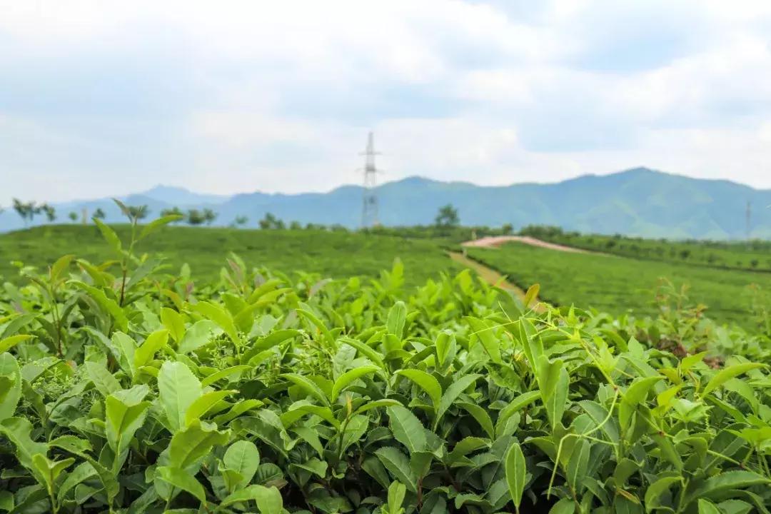 俄罗斯茶文化体验馆,俄罗斯风情公园