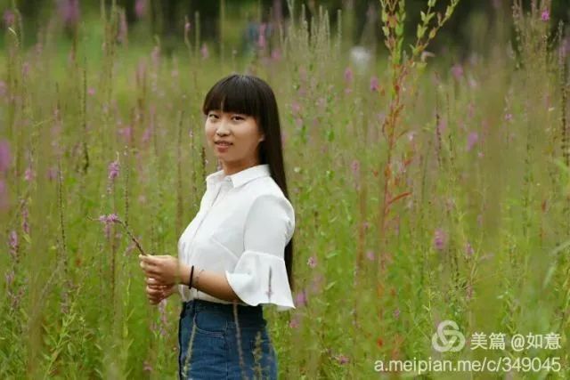 「每日一句」646郑谷笔下高洁清幽的菊花