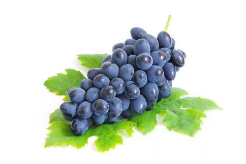 靠墙竖腿最有效的方法,把腿竖墙上真的能瘦腿吗