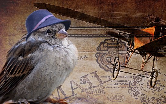 从实际出发而不是从定义出发,山顶的风景只有亲身经历才能体会