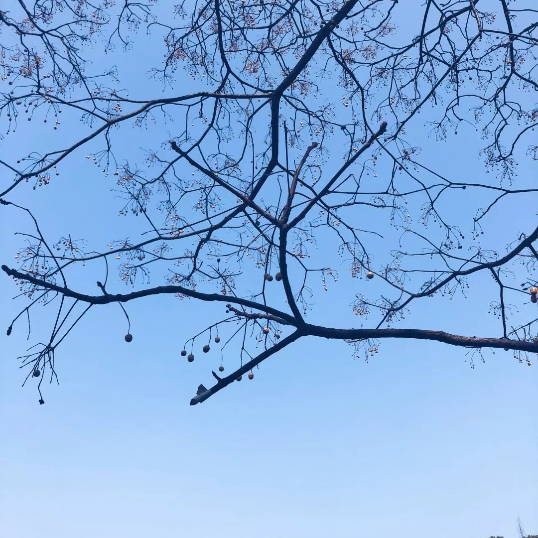 来岱山寻找那一份宁静,源于最美“初见”