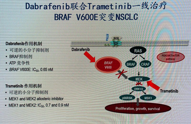 肺腺癌最常见的驱动基因,肺腺癌基因无突变的最佳治疗方式