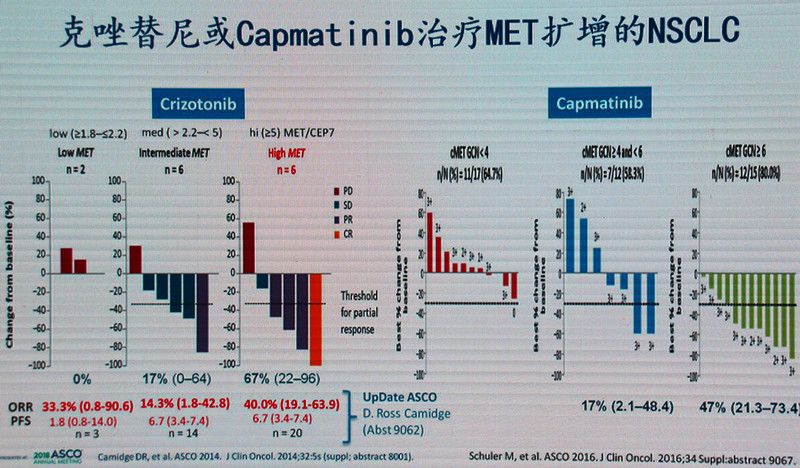 肺腺癌最常见的驱动基因,肺腺癌基因无突变的最佳治疗方式