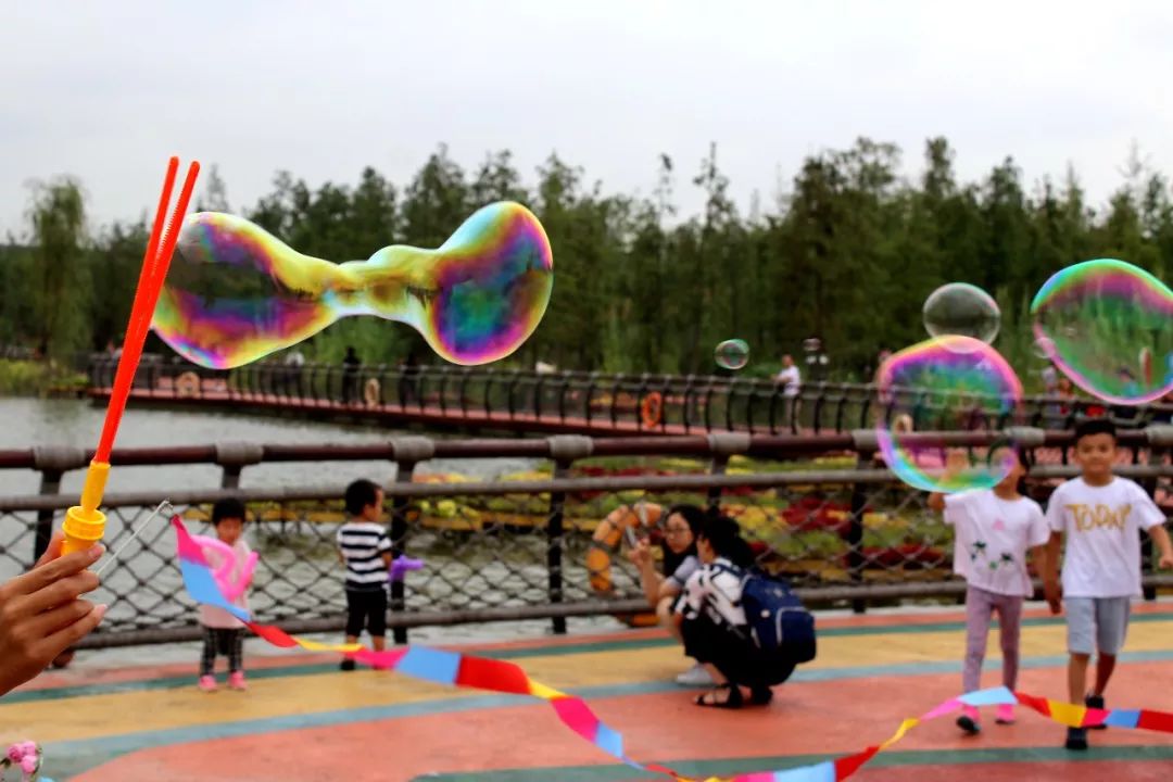 魔都浦江体验最棒的Staycation，颠覆了我对皇冠假日酒店的认知！